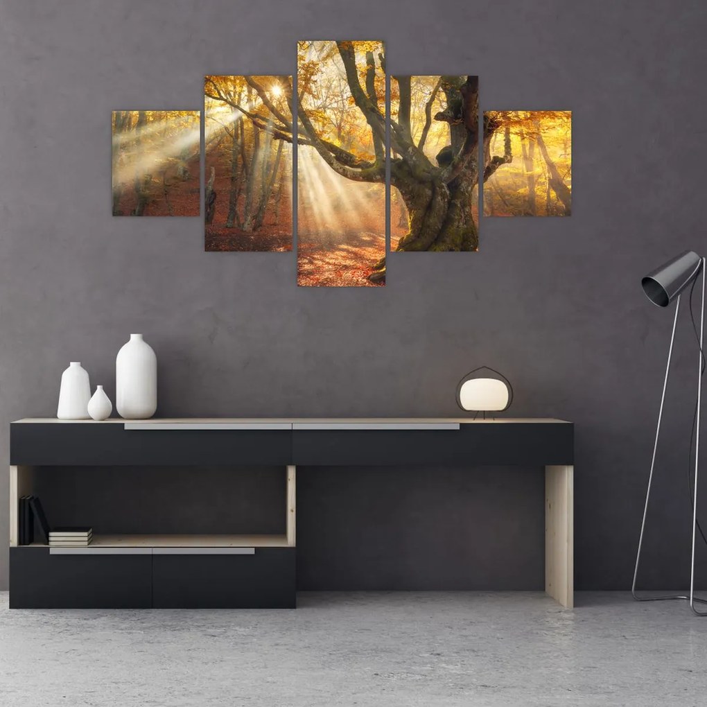 Obraz - Jesienny świt (125x70 cm)