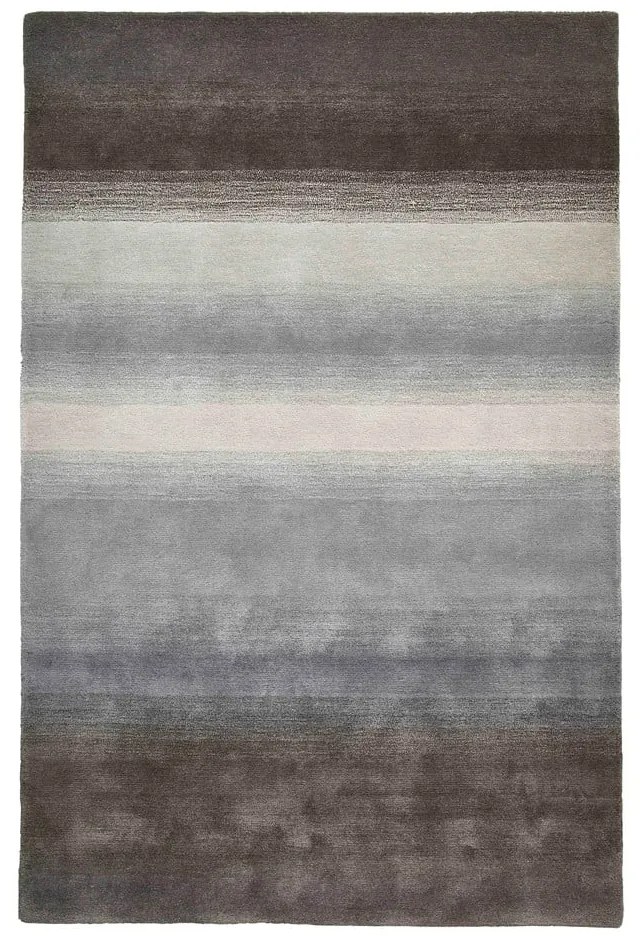 Szary wełniany dywan 230x150 cm Elements – Think Rugs