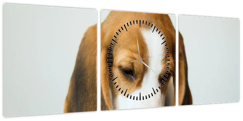 Obraz Beagle (z zegarem) (90x30 cm)
