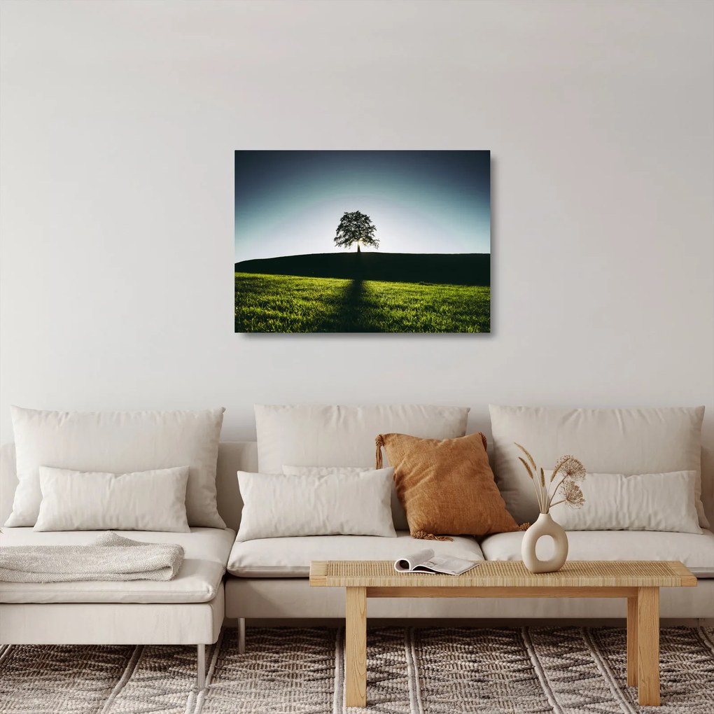Obraz na szkle natury - drzewo (70x50 cm)