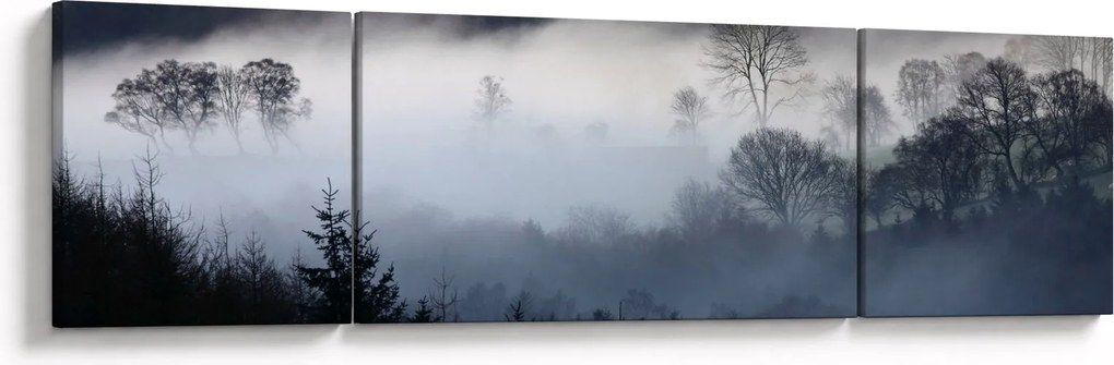 Obraz mgły nad lasem (170x50 cm)