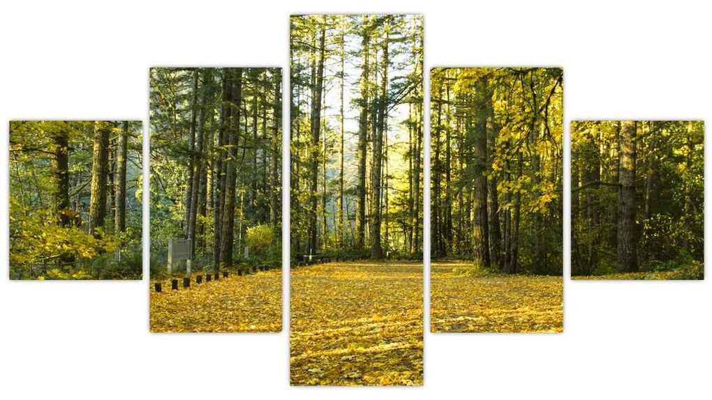 Obraz - las jesienią (125x70 cm)