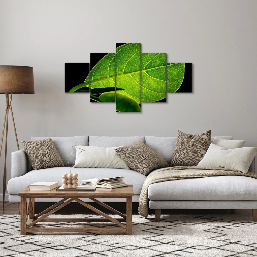 Obraz - zielony liść (125x70 cm)
