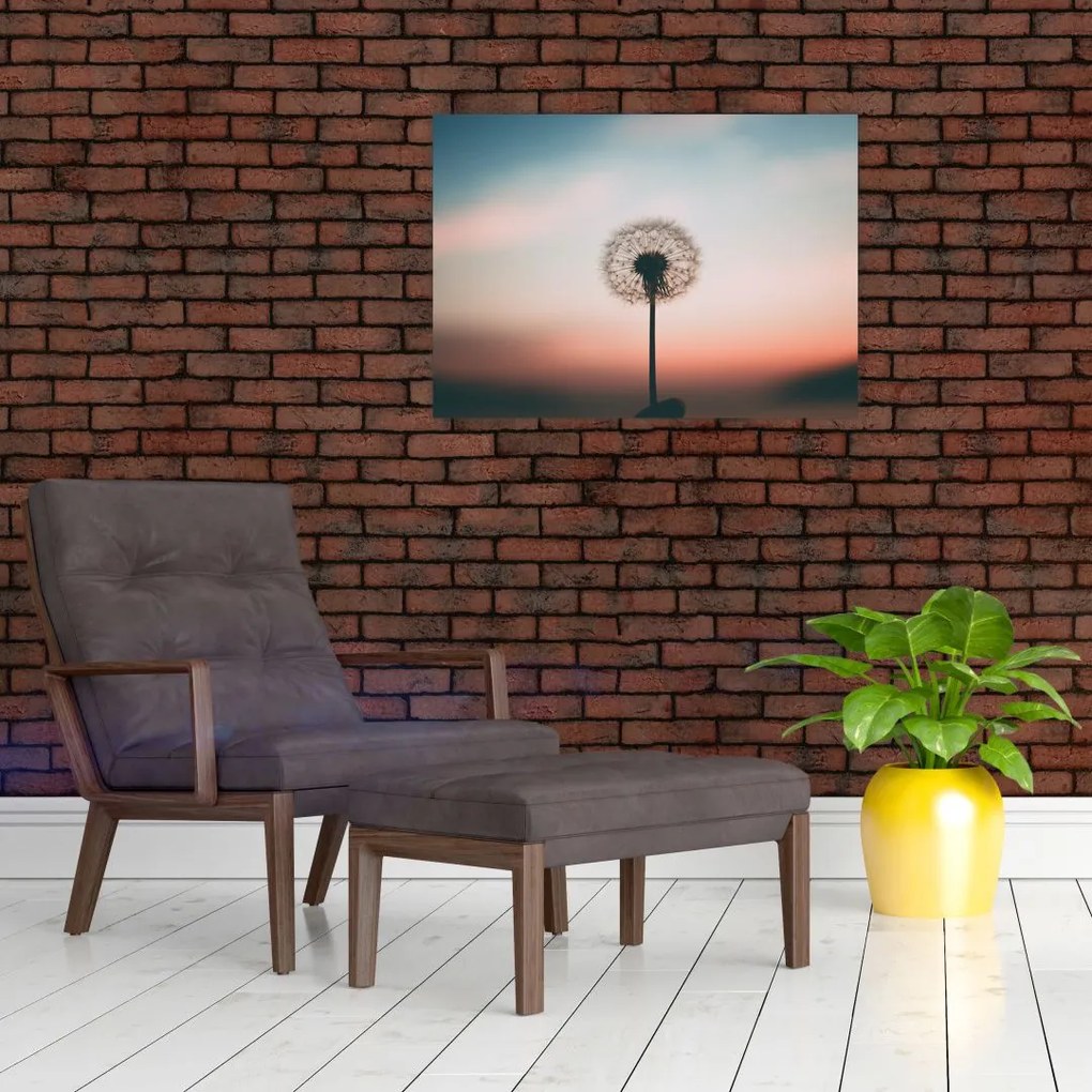 Obraz - Trzymam cię, dmuchawcu (70x50 cm)