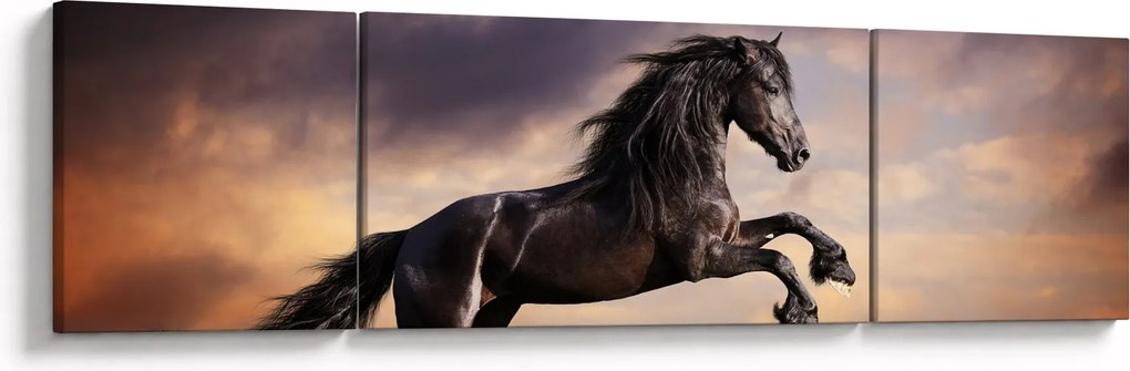 Obraz - Konie (170x50 cm)