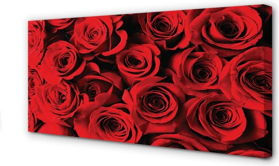 Obraz na płótnie Bukiet Świeżych Róż