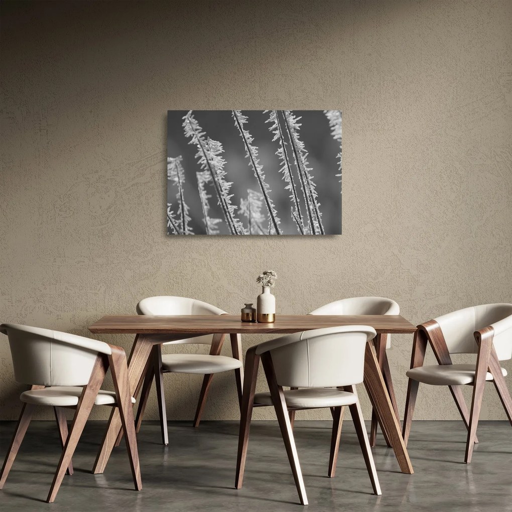 Obraz na szkle - Mroźne zimno (70x50 cm)
