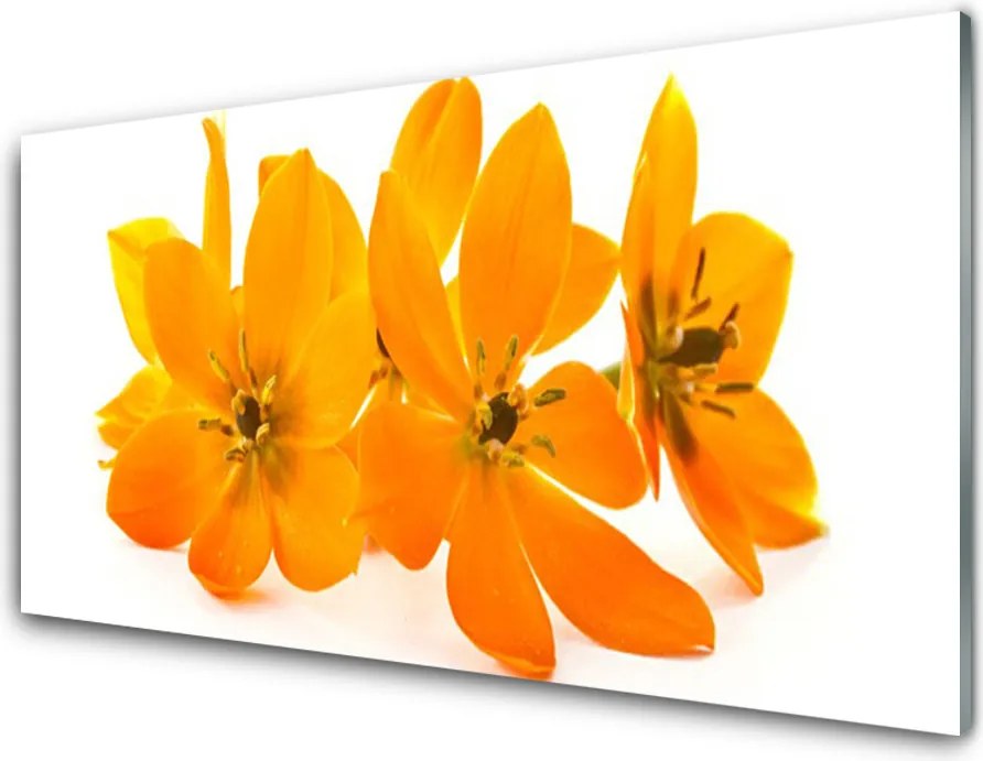 Panel Szklany do Kuchni Pomarańczowa Kompozycja Botaniczna