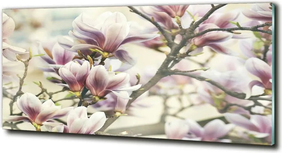 Foto obraz szkło hartowane Magnolia