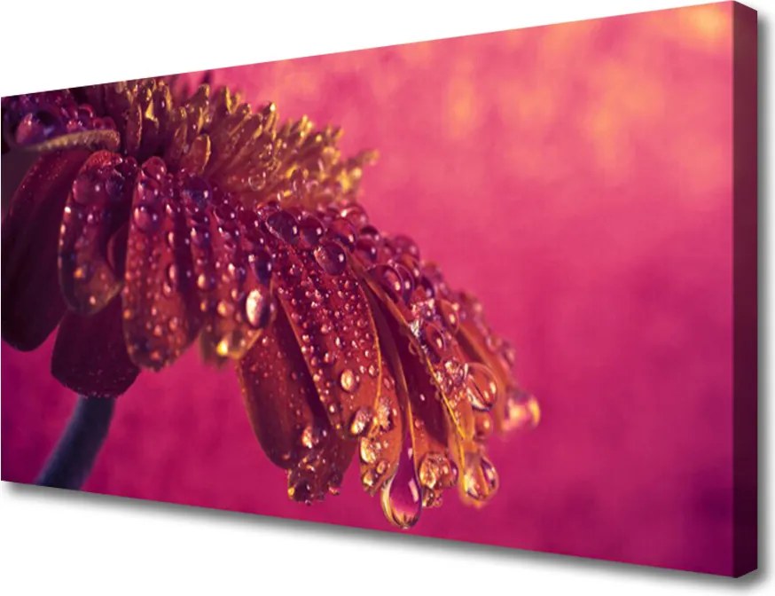 Zdjęcie na płótnie Majestatyczne Drzewo w Polu