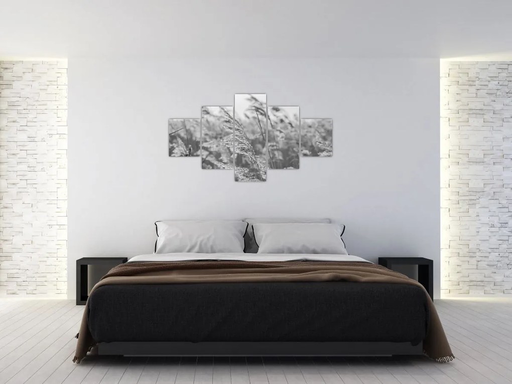 Obraz - Trawa na wietrze (125x70 cm)