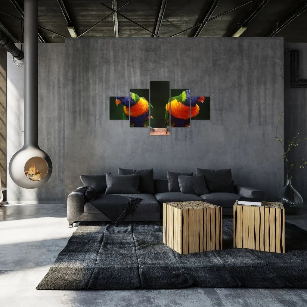 Obraz papug (125x70 cm)