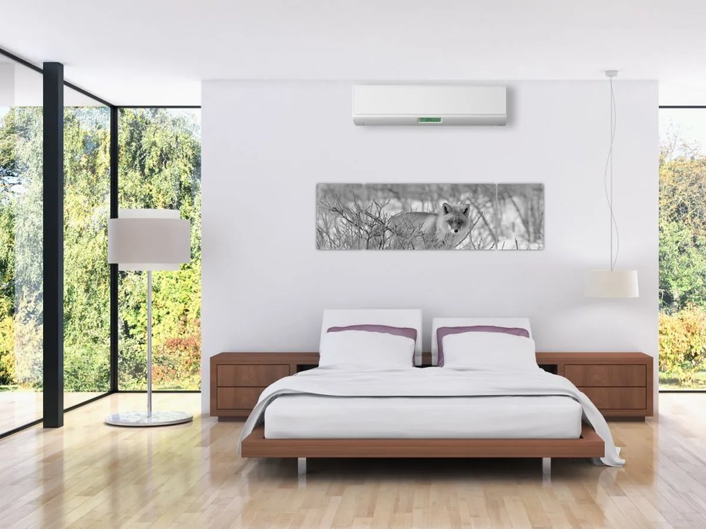 Obraz - Lis, czarno - biały (170x50 cm)