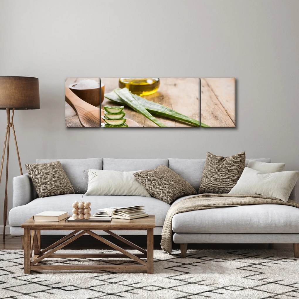 Obraz - Aloes (170x50 cm)