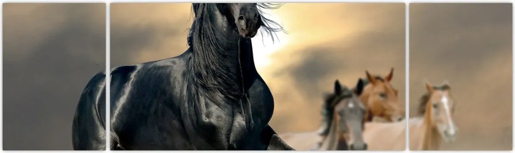 Obraz - Konie (170x50 cm)