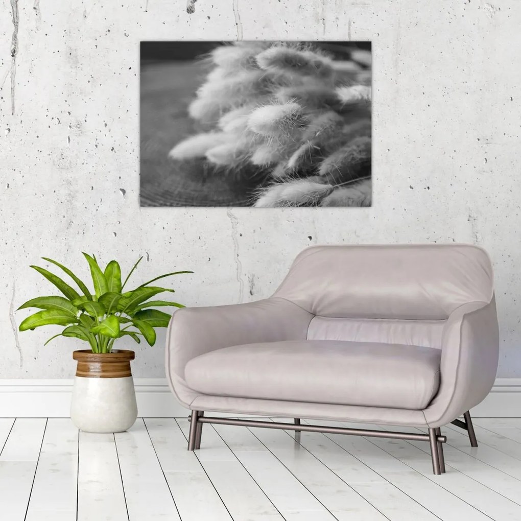 Obraz - trawa z króliczym ogonkiem na stole (70x50 cm)