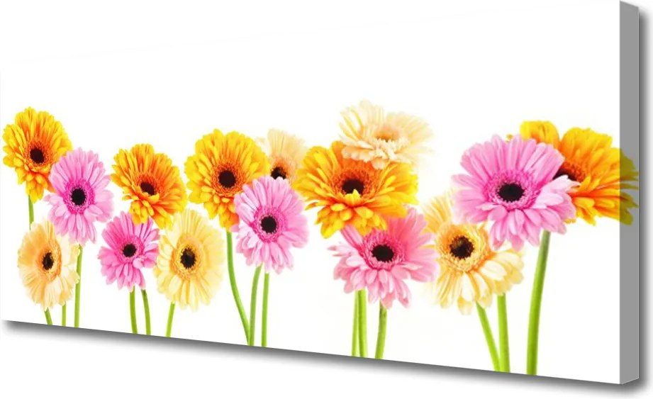 Obraz canvas Radosny Bukiet Gerber