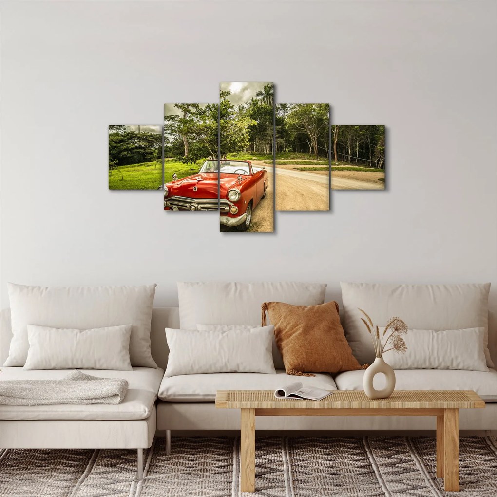 Obraz - zabytkowy samochód w przyrodzie (125x70 cm)