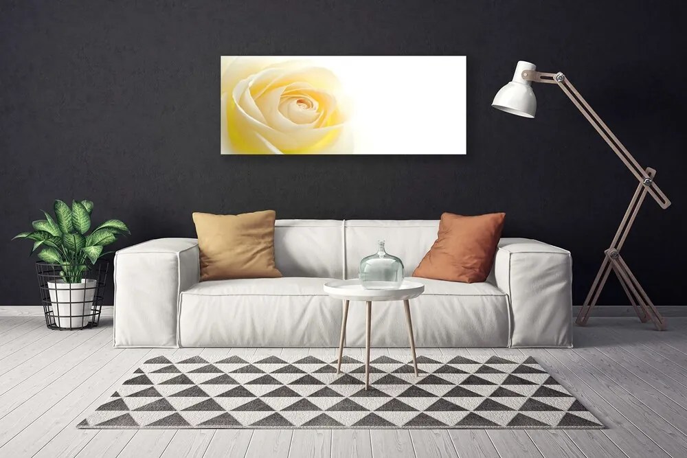 Obraz drukowany na płótnie Szlachetna Róża w Pełni