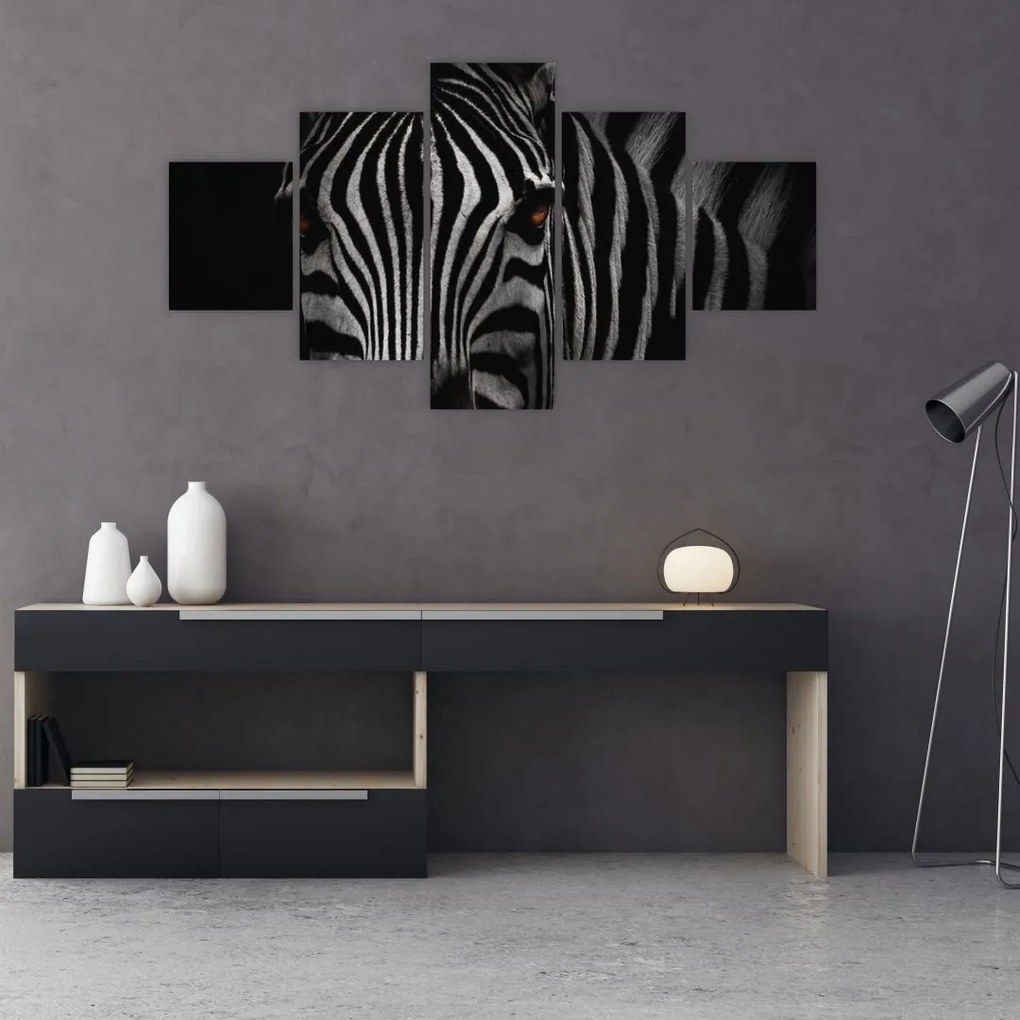 Obraz zebry (125x70 cm)