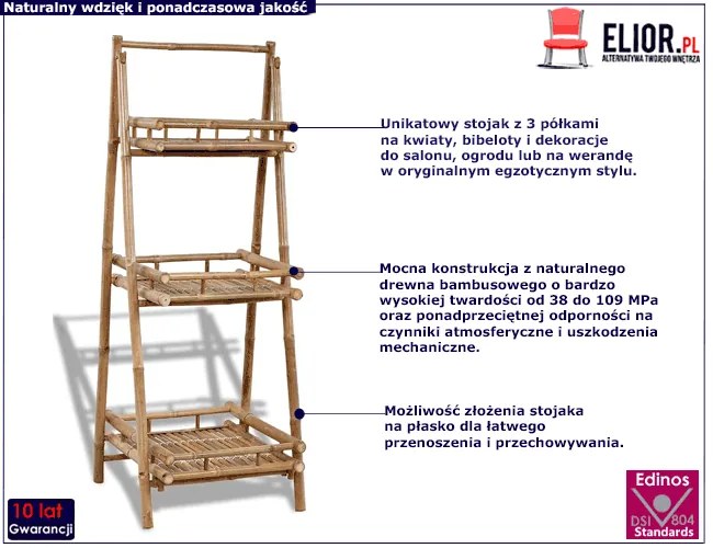 Bambusowy kwietnik Pini