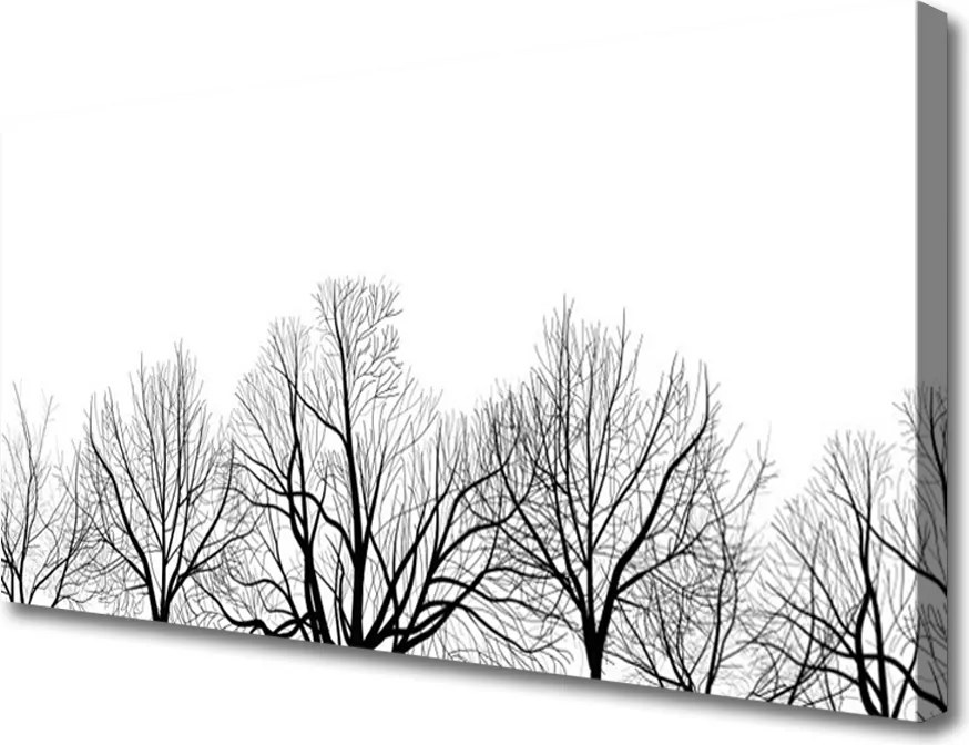 Obraz canvas Majestatyczne Drzewa w Lesie