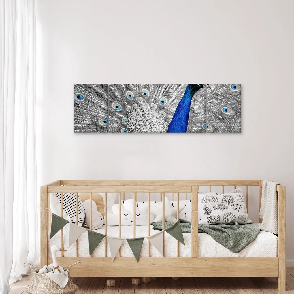 Obraz - niebieski paw (170x50 cm)