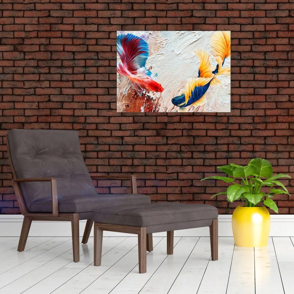 Obraz - Ryby bojowniki (70x50 cm)