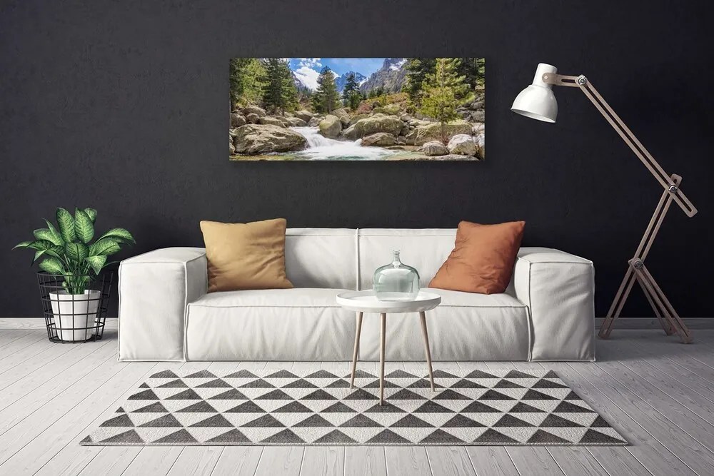 Obraz canvas Dziki Potok w Górskim Lesie