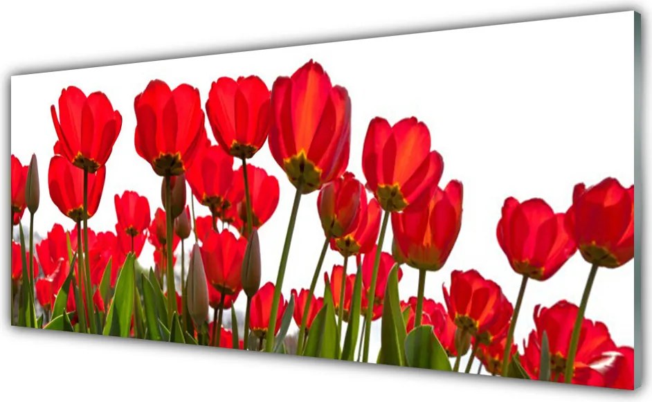 Panel nad blat kuchenny Pastelowy Ogród Na Szkle