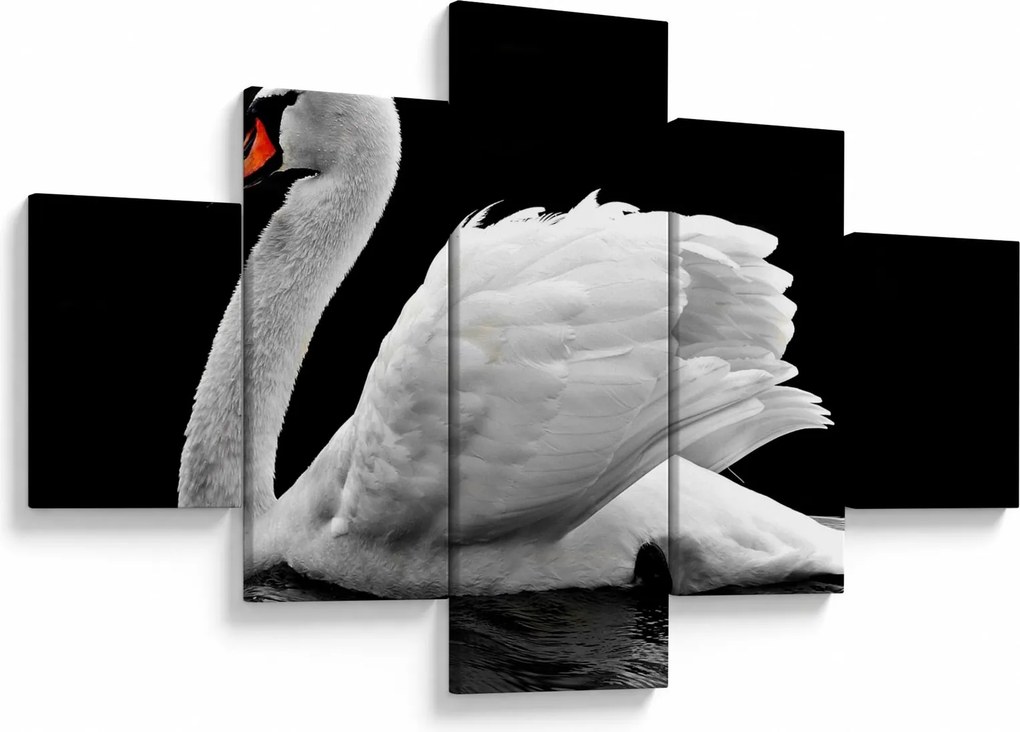 Obraz czarno - białego łabędzia (125x70 cm)