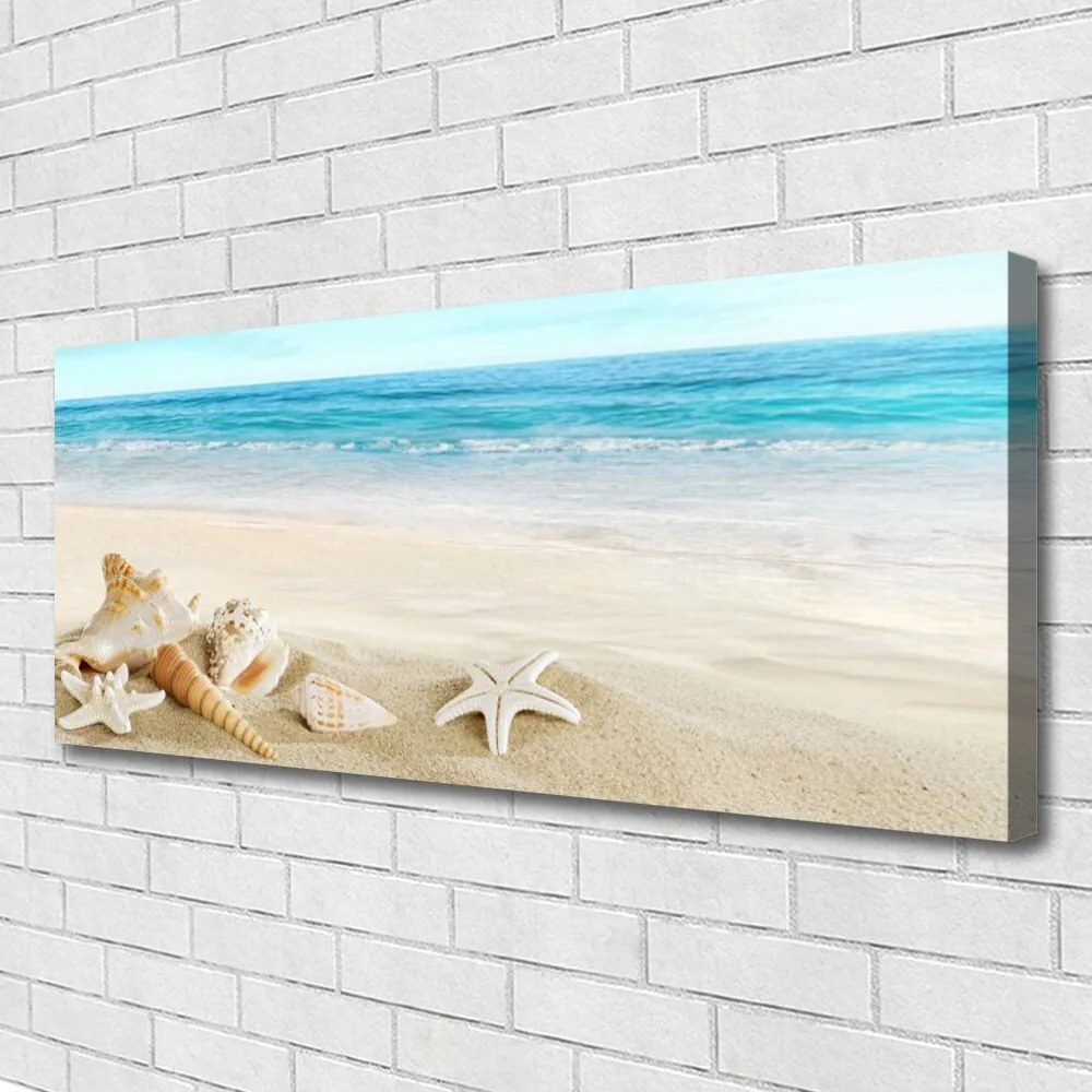 Zdjęcie na płótnie Nadmorskie Skarby Oceanu
