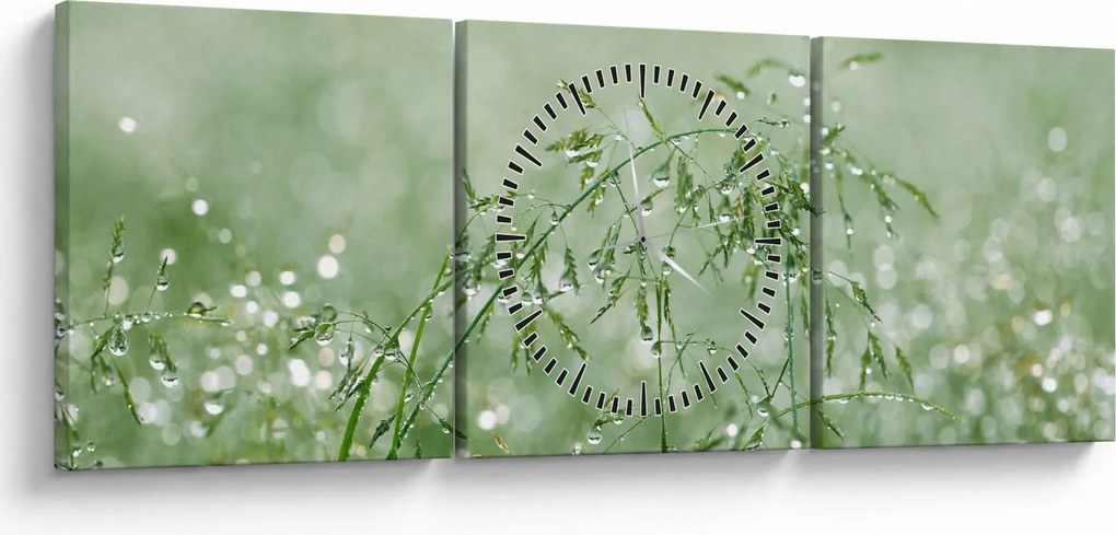 Obraz - Poranna rosa na źdźbłach trawy (z zegarem) (90x30 cm)