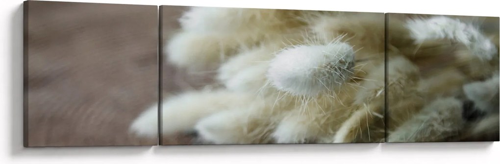 Obraz - Zajęczy ogonek (170x50 cm)