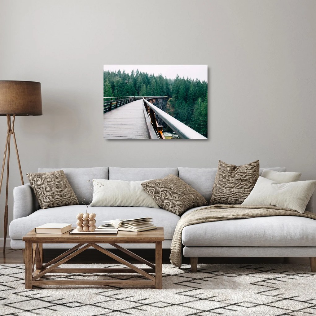 Obraz na szkle - Most do wierzchołków drzew (70x50 cm)
