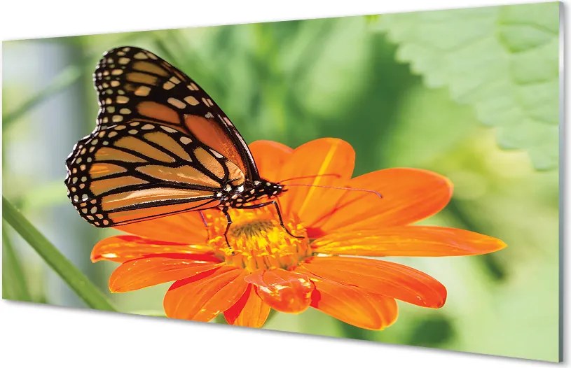 Panel Szklany Symbioza: Motyl i Roślina