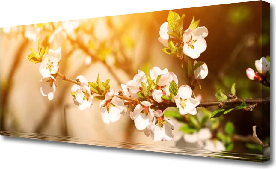 Obraz canvas Letni Bukiet na Płótnie