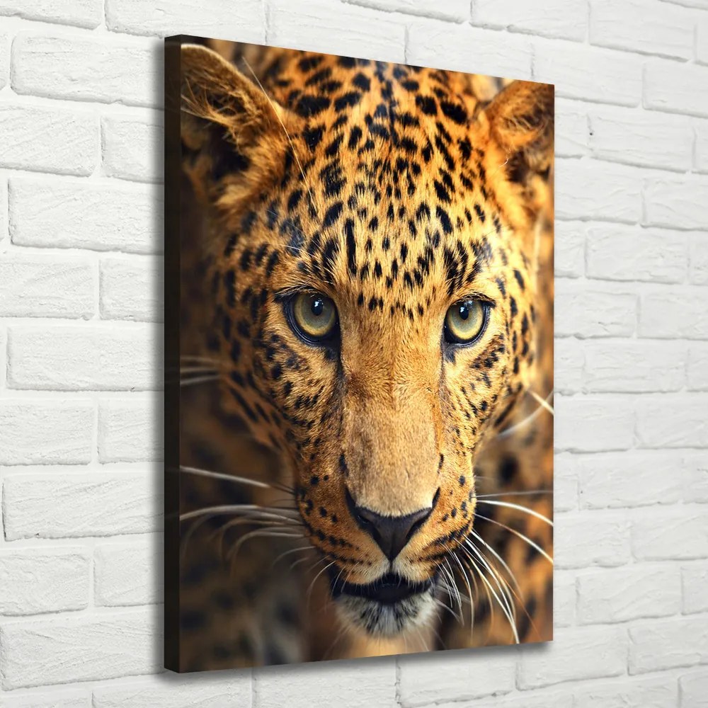 Nowoczesny obraz canvas na ramie pionowy Lampart
