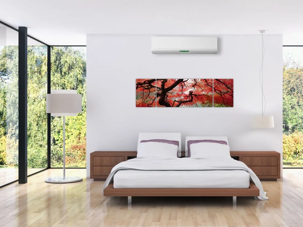 Obraz czerwonego klonu japońskiego, Portland, Oregon (170x50 cm)