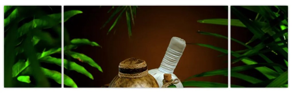 Obraz rzeczy spa (170x50 cm)