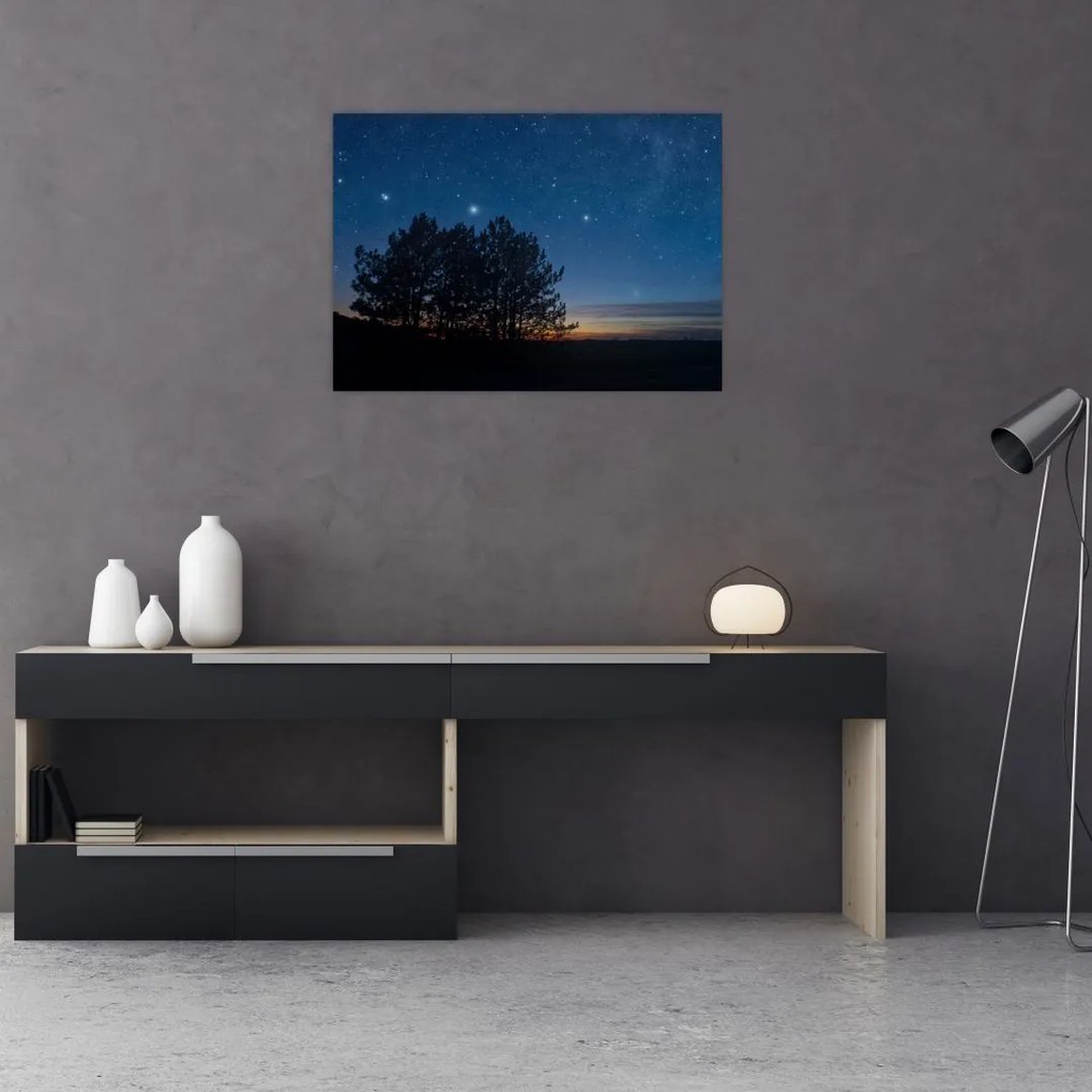 Obraz drzew w nocy (70x50 cm)