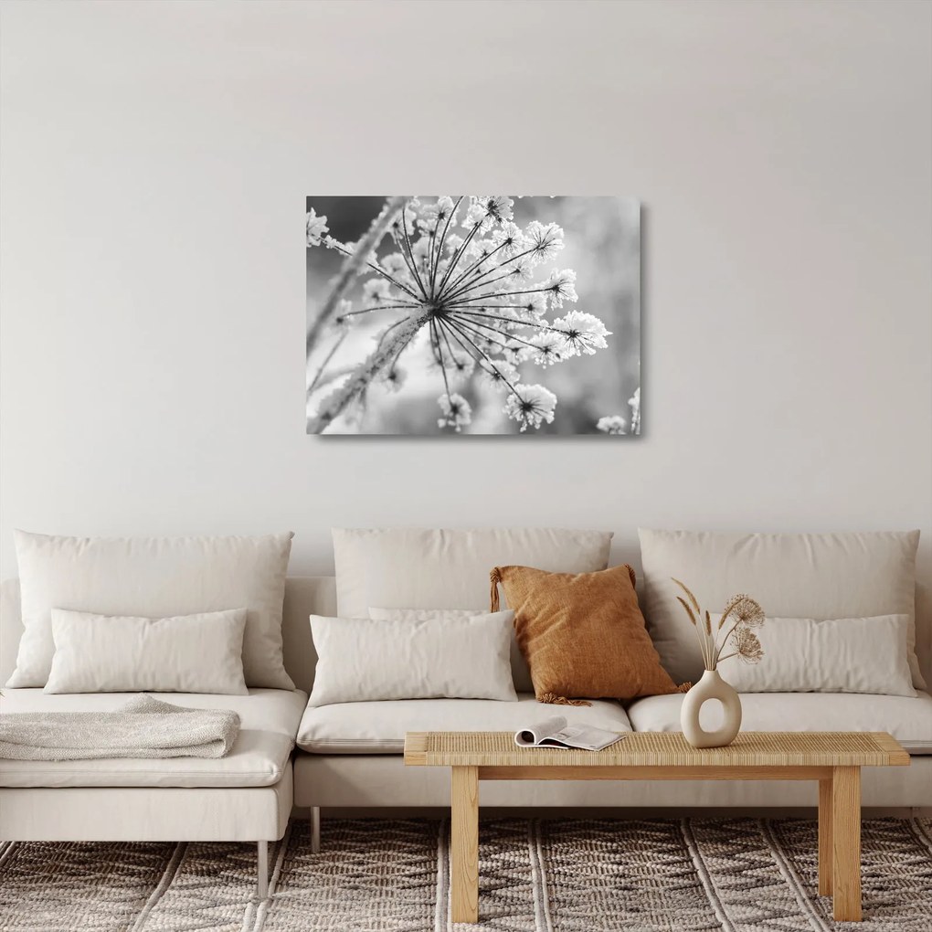 Obraz na szkle - Kwiat w zimie (70x50 cm)