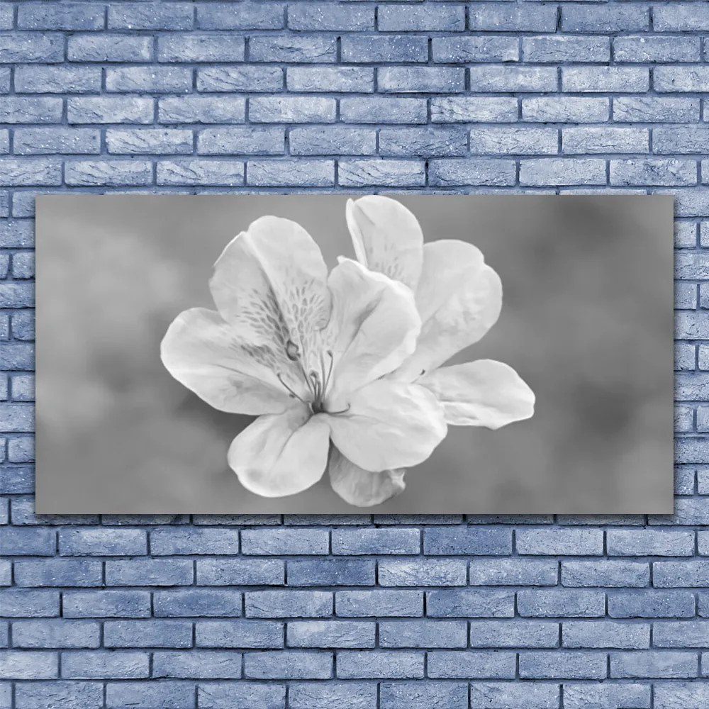 Obraz canvas na ścianę Kolorowy Ogród na Płótnie