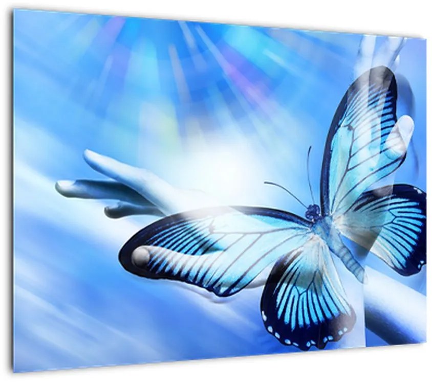 Obraz - Motyl, symbol nadziei (70x50 cm)