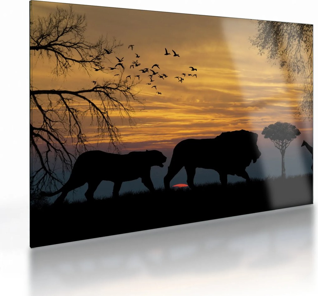 Obraz na szkle - Safari (70x50 cm)