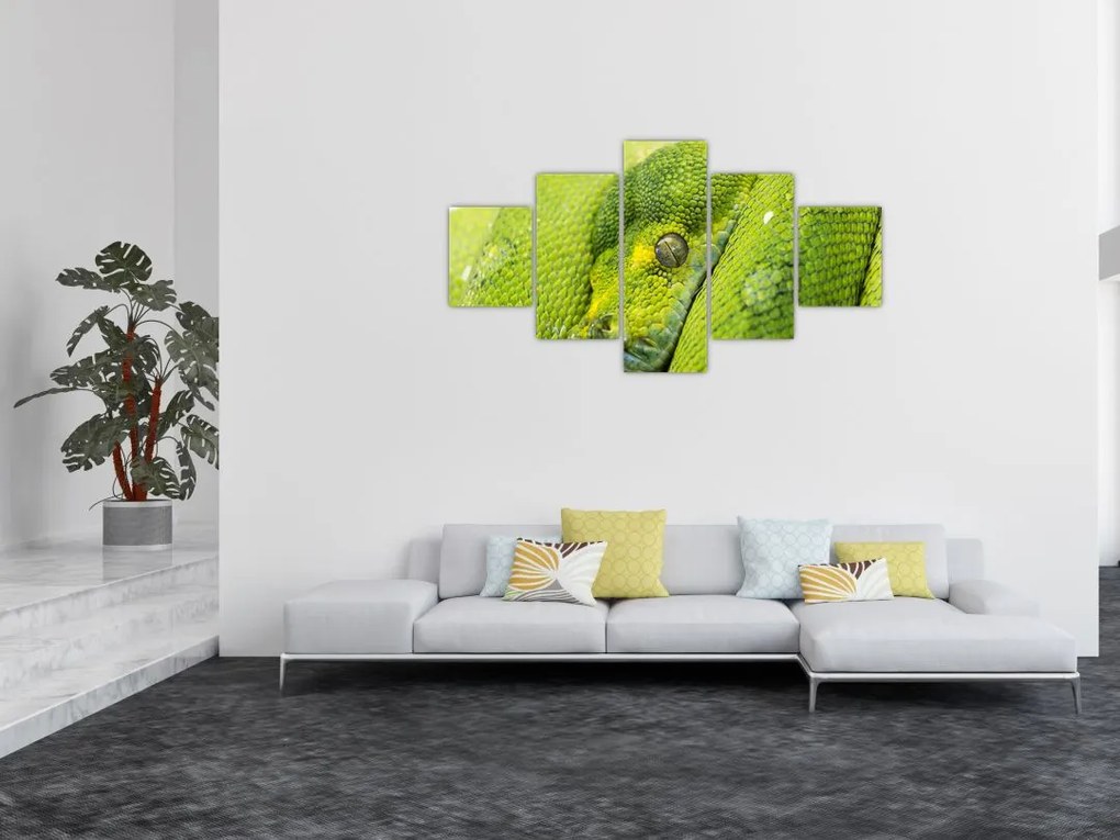 Obraz węża (125x70 cm)