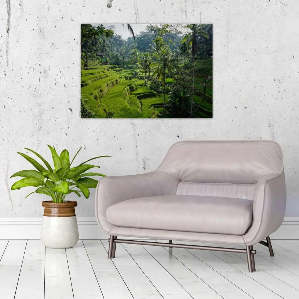 Obraz na szkle tarasów ryżowych Tegalalang, Bali (70x50 cm)