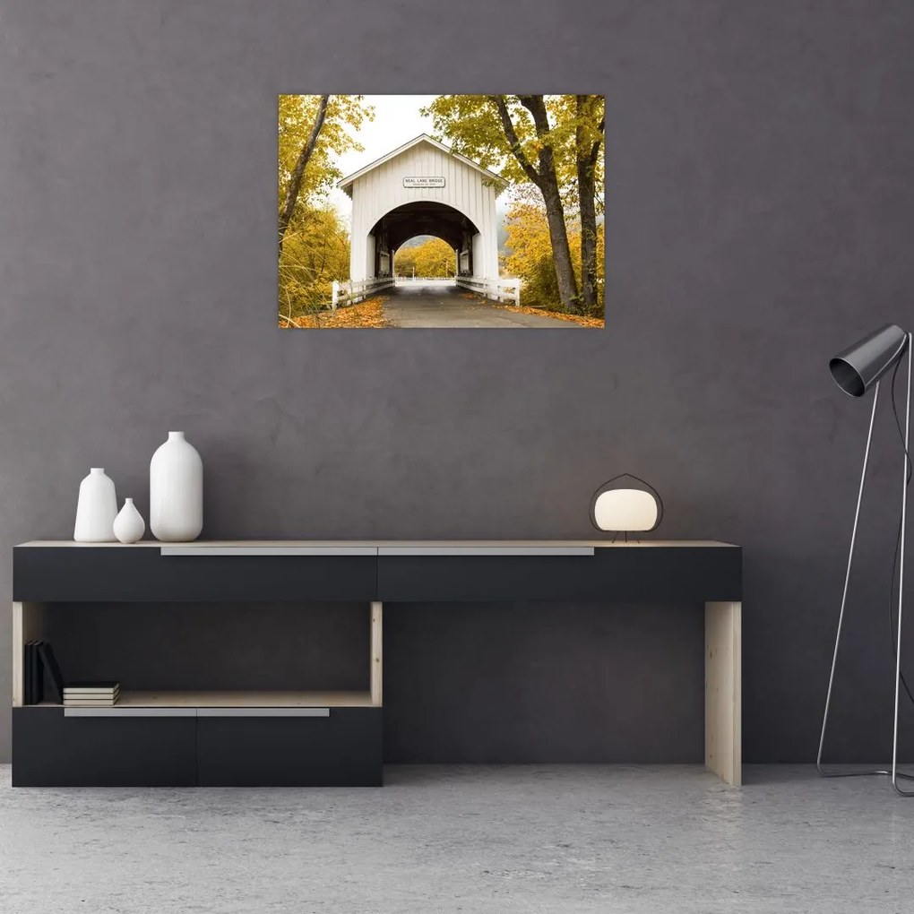 Obraz mostu w Oregonie (70x50 cm)