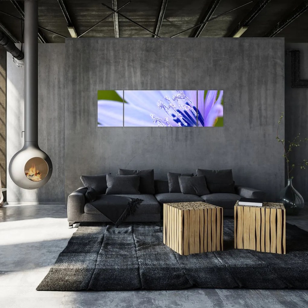 Obraz - Kwiat (170x50 cm)