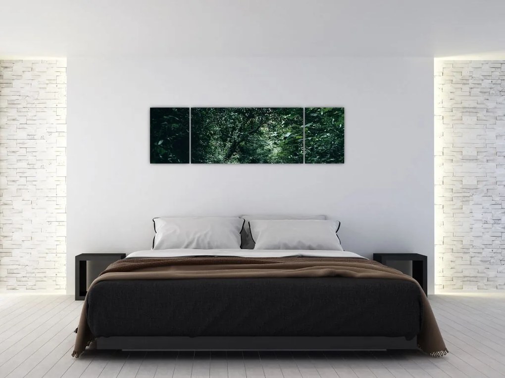 Obraz - Ścieżka przez las (170x50 cm)